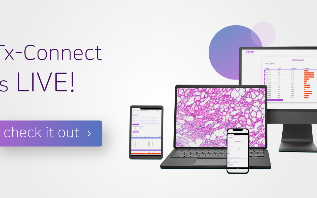 Digital histopathology company launches integrated platform capable of accelerating drug development