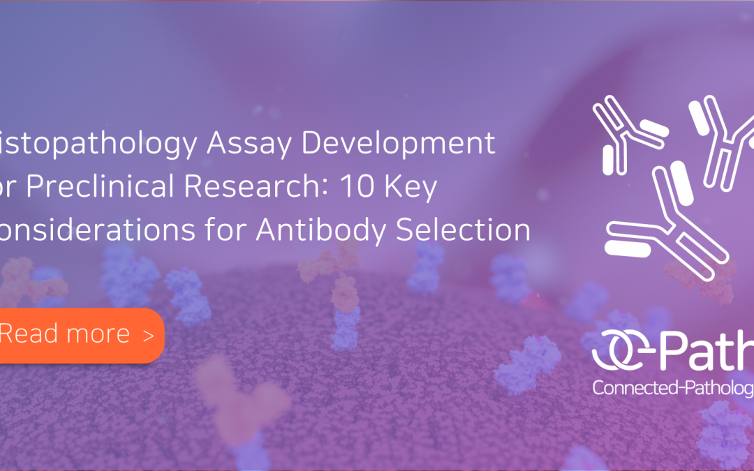 Histopathology Assay Development for Preclinical Research: 10 Key considerations for Antibody Selection  
