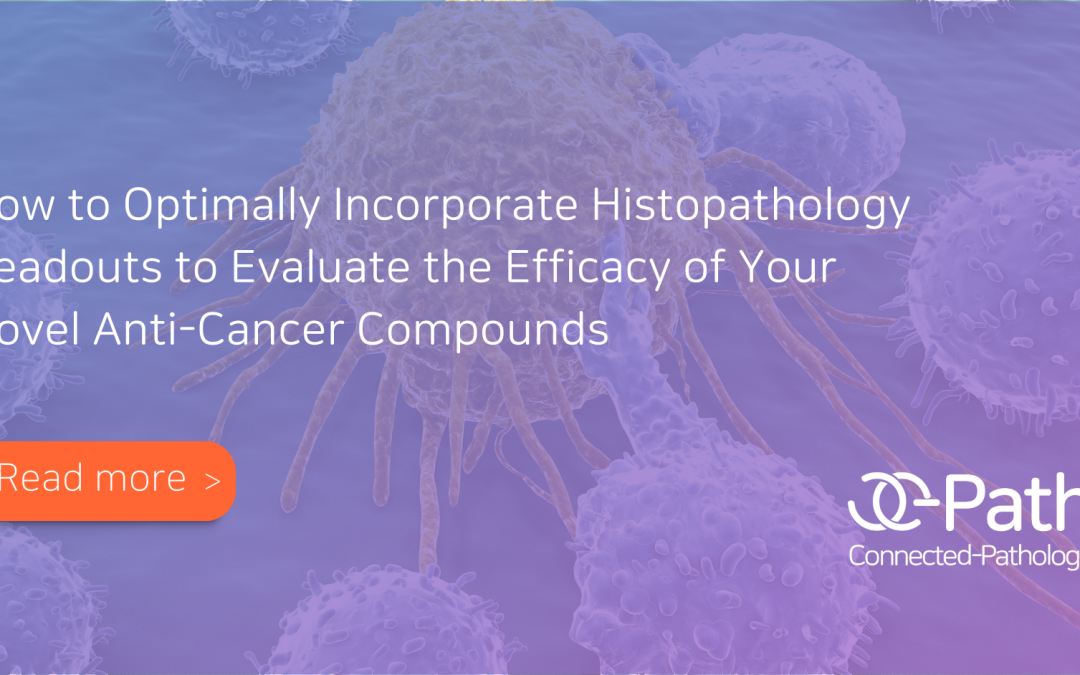 How to Optimally Incorporate Histopathology Readouts to Evaluate the Efficacy of Your Novel Anti-Cancer Compounds 