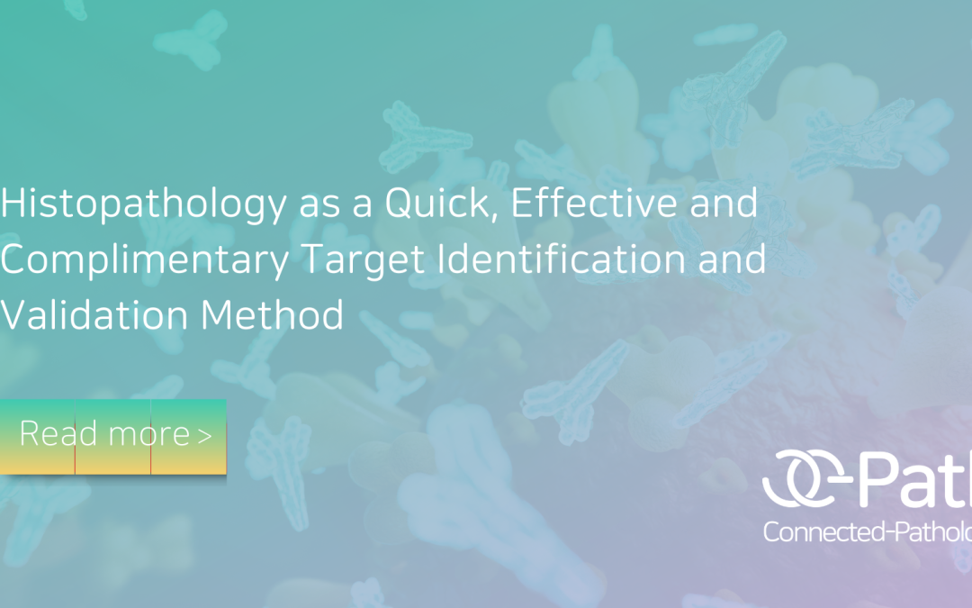 Histopathology as a Quick, Effective and Complimentary Target Identification and Validation Method