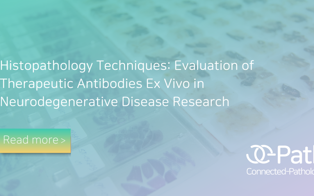 Histopathology Techniques: Evaluation of Therapeutic Antibodies Ex Vivo in Neurodegenerative Disease Research